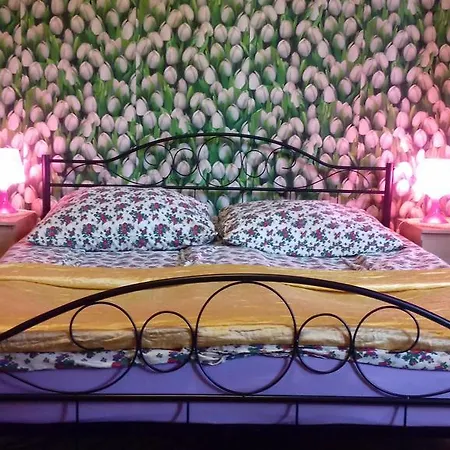 Hostel Taurus-3